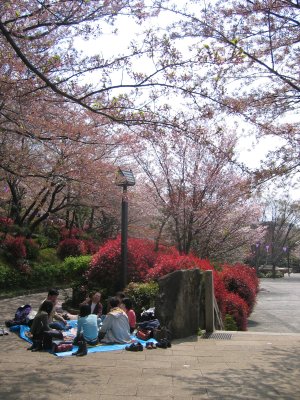 �򒹎R����